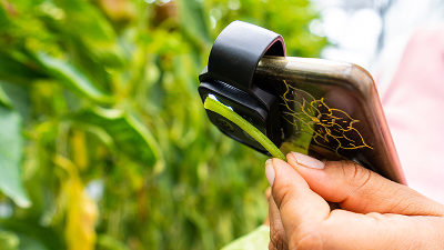 Какой инсектицид выбрать? Особенности действия различных ДВ