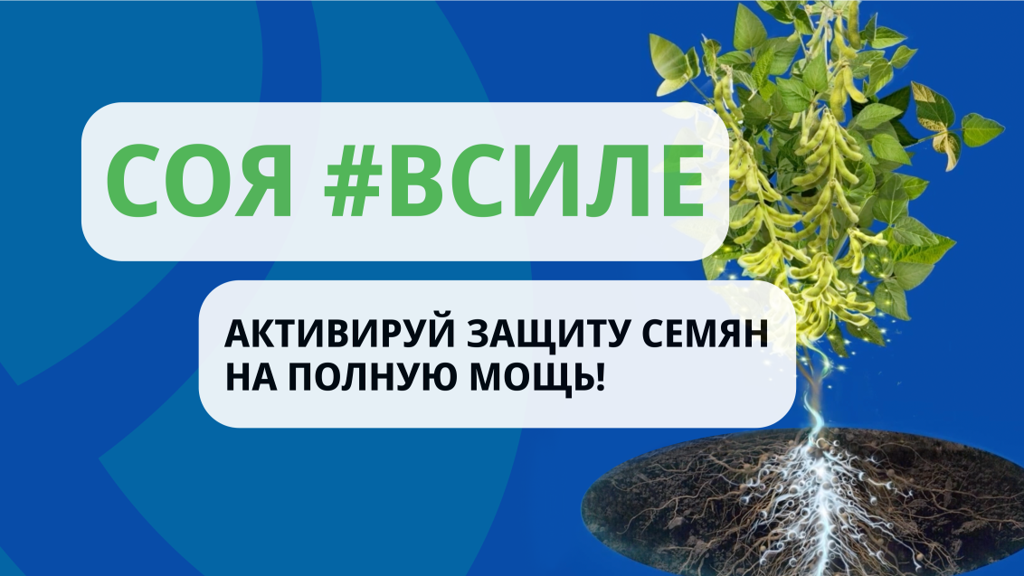 Вау, ВАЙБРАНС®!