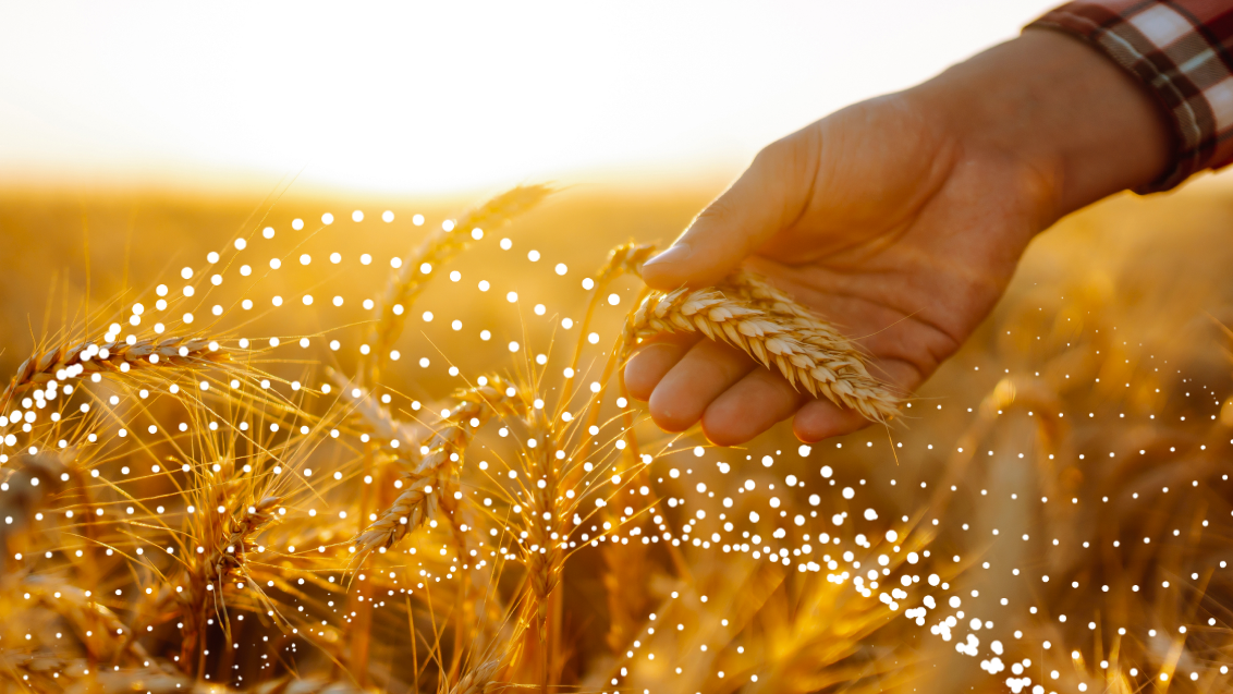 Как поддержать здоровье и урожайность культур