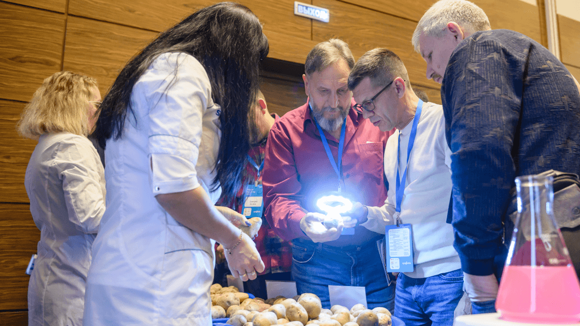 Как «поживает» картофель? Всё самое актуальное от экспертов отрасли, фото