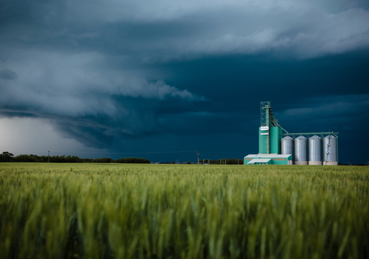 Настройка стационарных линий для обработки семян, фото