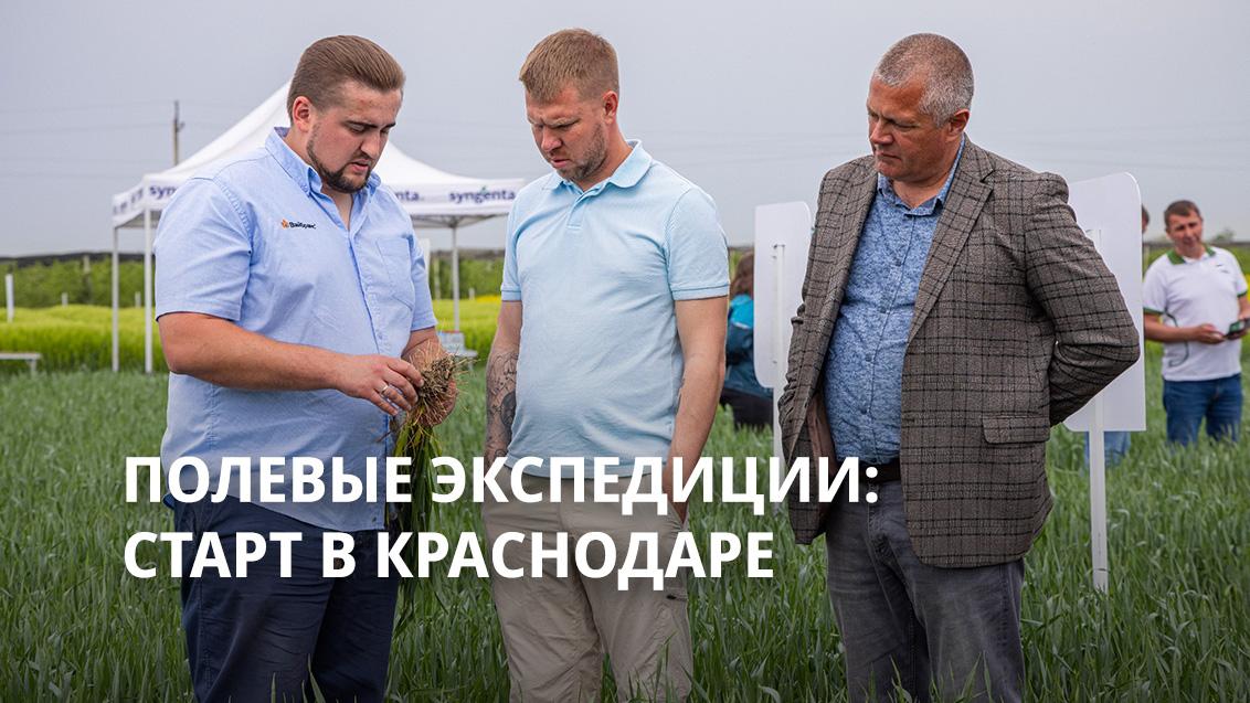 Полевые экспедиции: старт в Краснодаре