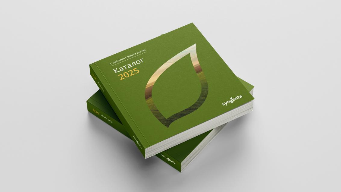 Каталог 2025, фото