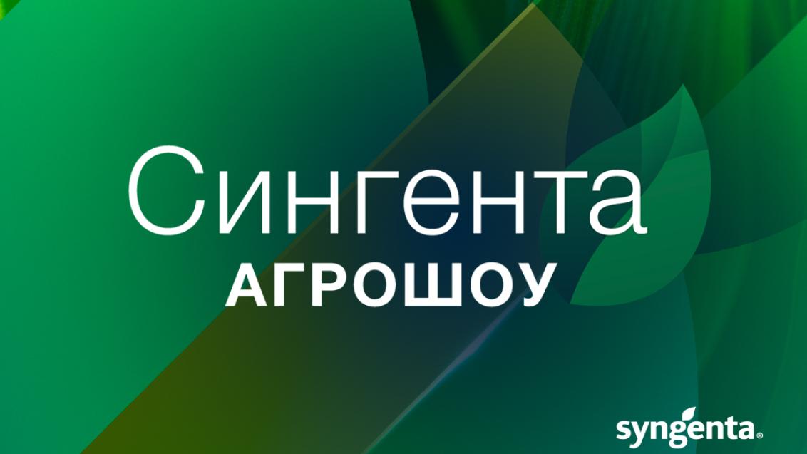 Новая эра гибридов