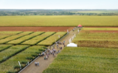 Агроцентр Курск 2020