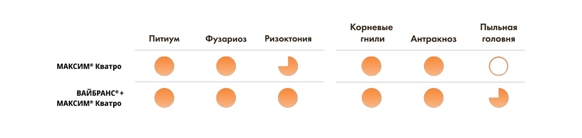 Почвенная инфекция