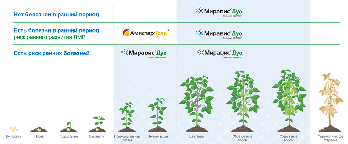 Защита бобов, снижение риска абортации цветков и бобов при стрессах, работа на показатели качества