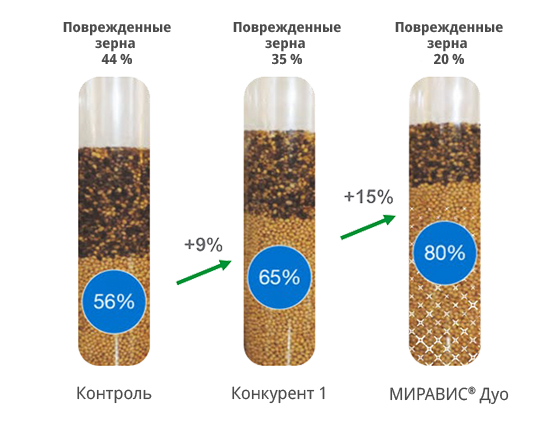Результаты внутренних опытов компании «Сингента» в Аргентине 1