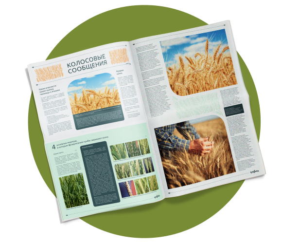 Выпуски издания «Колосовые сообщения»
