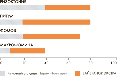 % здоровых растений в опытах на искусственном заражении. Количество опытов 17