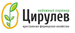 Цирулев