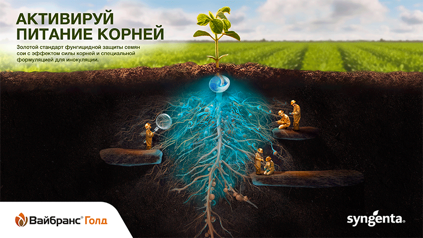 Активируй питание корней