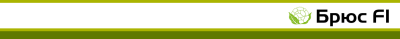 brus_1120-110-px.png