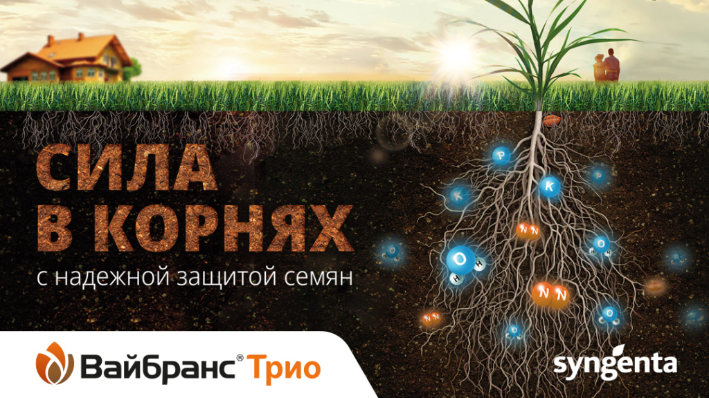 Сила в корнях