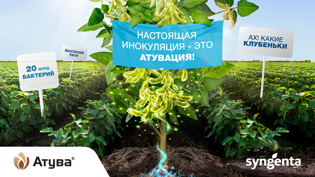 Настоящая инокуляция это атувация