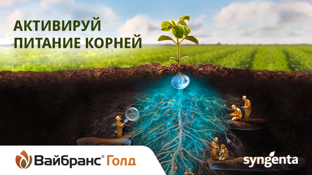 Активируй питание корней