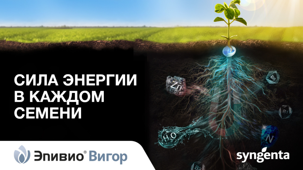 Сила энергии в каждом семени