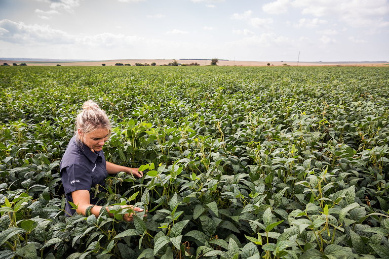 Угроза чешуекрылых вредителей и их влияние на ключевые культуры