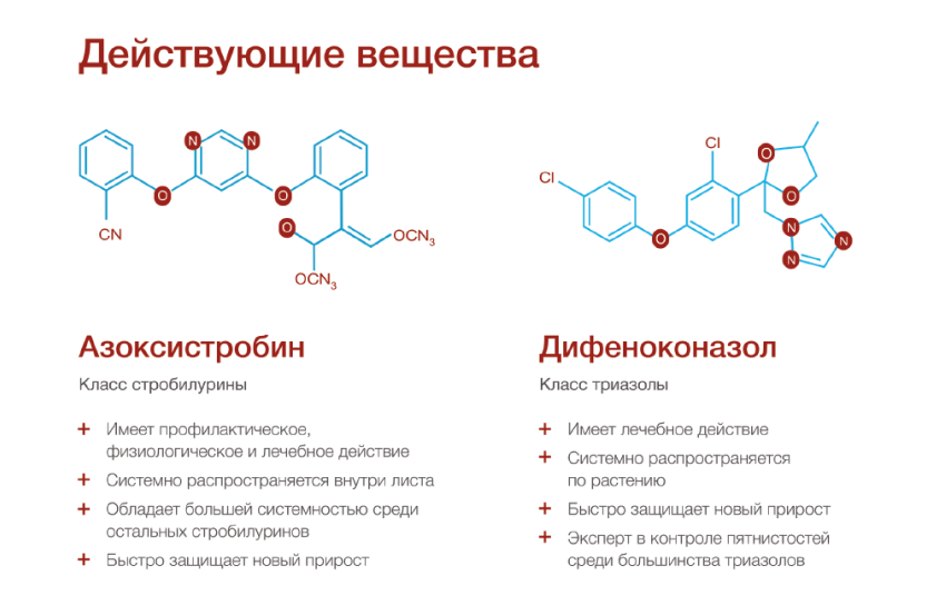 Действующие вещества Действующие вещества/sites/g/files/kgtney371/files/media/image/2023/05/15/850x544_sf_sheme_01.png