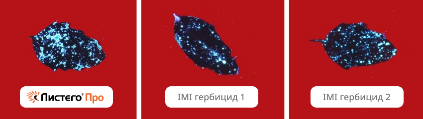 ЛИСТЕГО® Про. Всё дело в формуляции