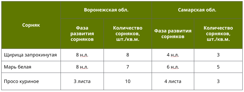 ЛИСТЕГО® Про. Всё дело в формуляции