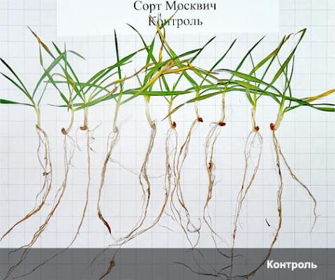 Контроль Контроль