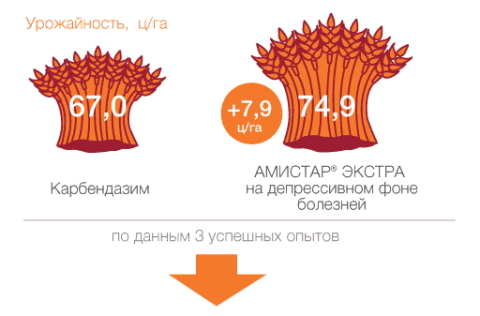 По сравнению с карбендазимами АМИСТАР ЭКСТРА обеспечивает экстраурожай сравнение эффективности АМИСТАР ЭКСТРА и Карбендазим