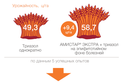 АМИСТАР ЭКСТРА надежно сохраняет от нарастания заболеваний сравнение эффективности АМИСТАР ЭКСТРА и Триазол