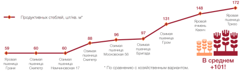 Количество продуктивных стеблей по сравнению с хозяйственным вариантом, Озимая пшеница, Белгородская область, 2015 г. график применения АМИСТАР ЭКСТРА