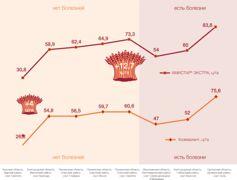 АМИСТАР ЭКСТРА в дозировке 0,75 л/га независимо от фитосанитарной ситуации сохраняет урожай, раскрывая потенциал урожайности пшеницы АМИСТАР ЭКСТРА в дозировке 0,75 л/га независимо от фитосанитарной ситуации сохраняет урожай, раскрывая потенциал урожайности пшеницы