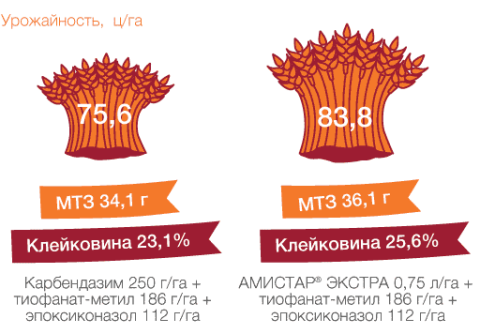 Яровой ячмень, Орловская обл., 2015 г. Яровой ячмень, Орловская обл., 2015 г.