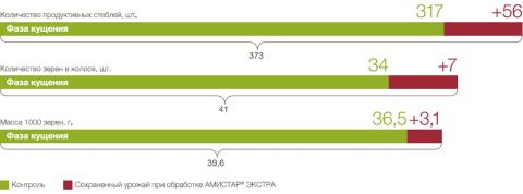 Обработка АМИСТАР ЭКСТРА 0,75 л/га позволяет реализовать потенциал сорта график после обработки АЛЬТО® СУПЕР