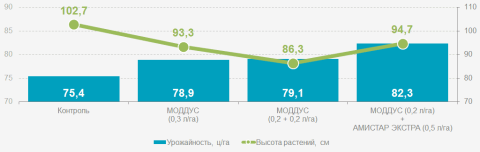 Озимая пшеница сорт Воронежская. Обработки: 27 GS (03.05.2013) и 32 GS (14.05.2013). 21 день после обработки. Липецкая область, 2013 год график применения МОДДУС® для озимой пшеницы