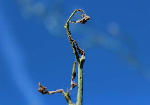 Контроль Контроль