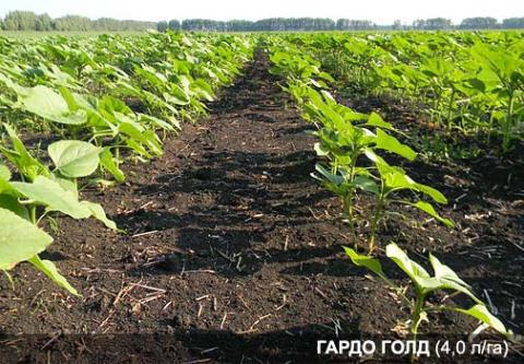 ГАРДО ГОЛД (4,0 л/га) ГАРДО ГОЛД (4,0 л/га)