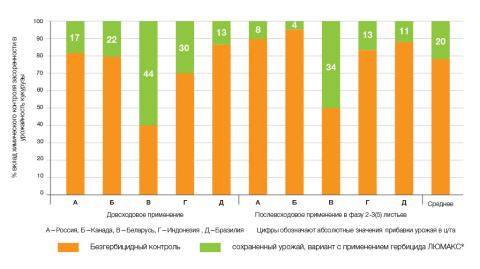 Вклад технологии ранней защиты культуры от сорняков в урожайность зерна кукурузы (при средней урожайности — 67,9±19,6 ц/га) технология защиты кукурузы