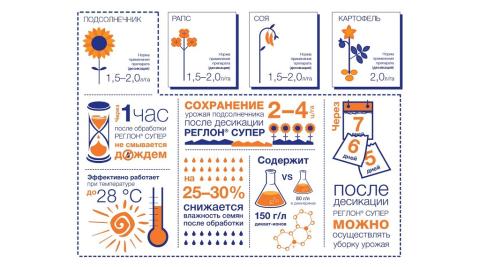 РЕГЛОН СУПЕР: мощная, быстрая и проверенная временем десикация от «Сингенты» РЕГЛОН СУПЕР: мощная, быстрая и проверенная временем десикация от «Сингенты»