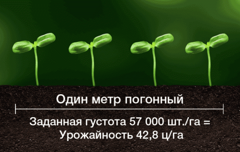 КРУЙЗЕР® ФОРС-Технология КРУЙЗЕР® ФОРС-Технология