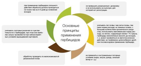 Основные принципы применения гербицидов Основные принципы применения гербицидов