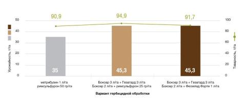 Снижение урожайности на чувствительном сорте картофеля при применении метрибузина Снижение урожайности на чувствительном сорте картофеля при применении метрибузина