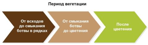 Период вегетации Период вегетации