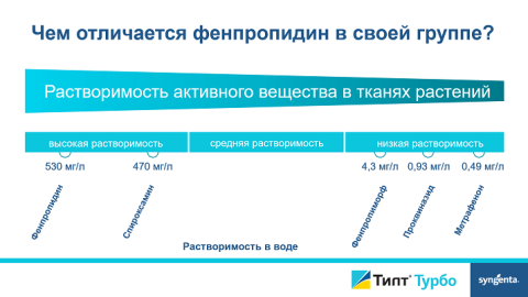 Как защитить озимые Как защитить озимые