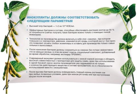 Инокулянты должны соответствовать следующим параметрам Инокулянты должны соответствовать следующим параметрам