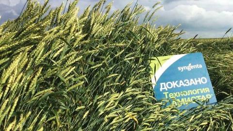 Доказано. Технология АМИСТАР® Доказано. Технология АМИСТАР®