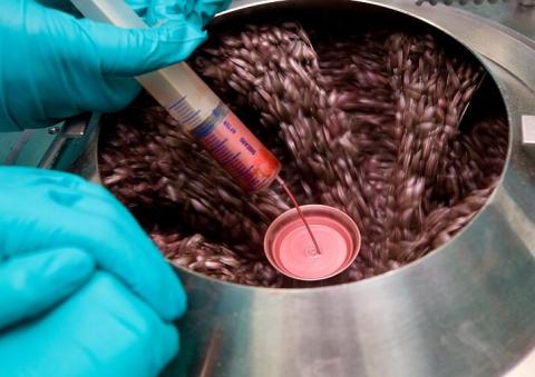 Налив препарата во время обработки Налив препарата во время обработки