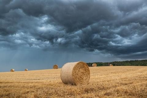 Фото засушливого поля Фото засушливого поля