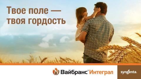 Твое поле — твои правила Твое поле — твои правила