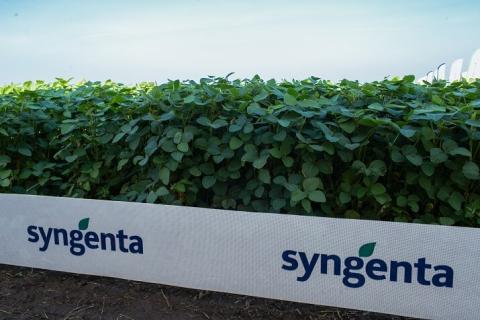 Гербицидная новинка 2022 года Гербицидная новинка 2022 года