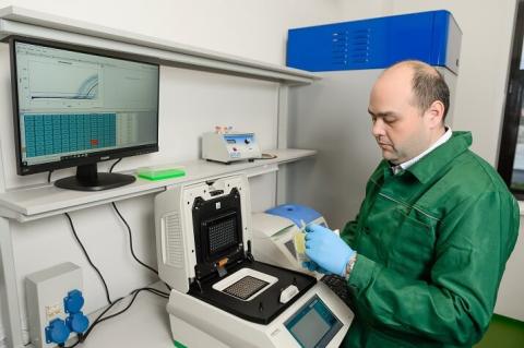 Выводы и перспективы Выводы и перспективы