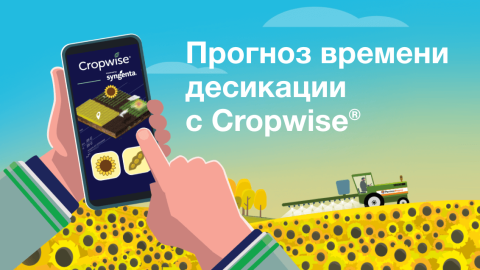 Прогноз времени десикации с Cropwise® Прогноз времени десикации с Cropwise®